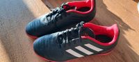 Adidas Fußballschuhe Hallenschuhe Gr. 36 Bayern - Weichering Vorschau