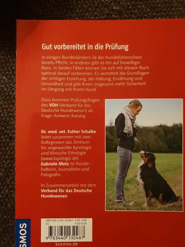 Hundeführerschein Sachkundenachweis Hundeschule in Lübeck