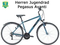 Fahrrad Herren Jugendrad Pegasus Avanti Trekking Nordrhein-Westfalen - Erftstadt Vorschau