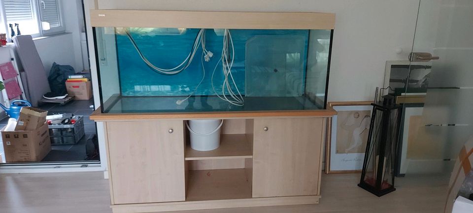 400 Liter Aquarium in Rastatt