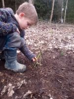 Waldspielgruppe für 5-8-Jährige Bayern - Künzing Vorschau