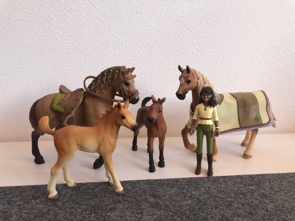 SCHLEICH Pferde Sammlung Fjord, Camargue, Lipizzaner, Araber,,... in Rottenburg am Neckar