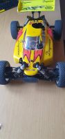 Buggy Reely Rex x Bayern - Vierkirchen Vorschau