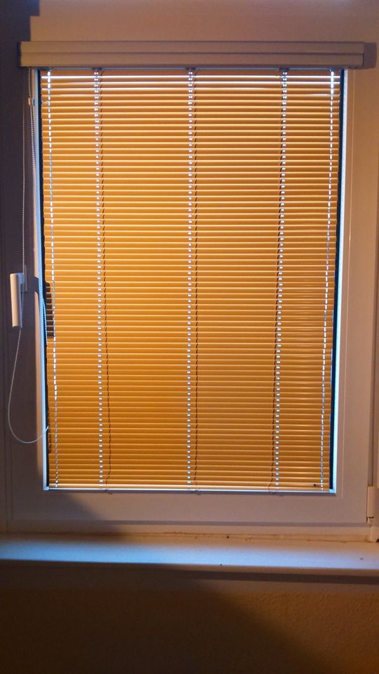 MHZ Horizontal Fenster-Jalousie InLine, 67,4 cm breit in Bad Wildungen