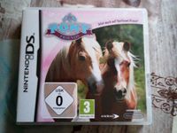 Nintendo ds jetzt auch mit shetland Ponys Bayern - Grafenau Vorschau