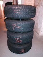 Winterreifen Michelin Alpin 205/60 R16 auf Stahlfelgen 6,5Jx16H2 Niedersachsen - Barsinghausen Vorschau