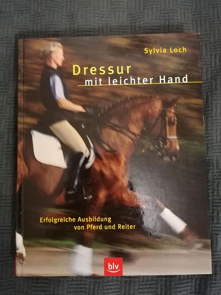 Dressur mit leichter Hand in Benningen