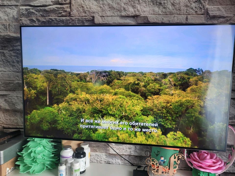 Samsung fernseher 55zoll Smart-TV in Erkrath