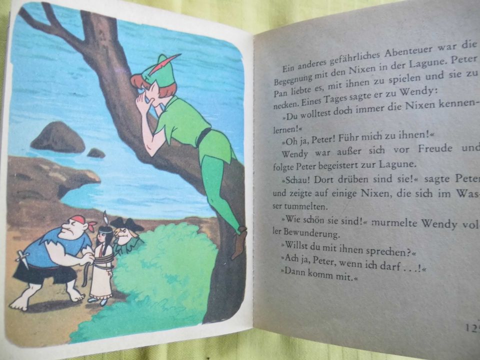 2 alte Kinderbücher = 1 Preis (Robin Hood+Peter Pan) 1968 in Woldegk