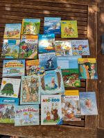 Pixi Bücher Kinderbücher verschiedene Geschichten Bayern - Siegenburg Vorschau