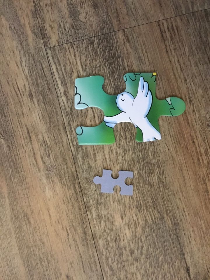 Puzzle Prinzessin in Wyhl