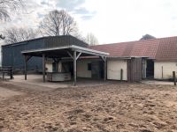 Offenstall-Platz für Ponywallach in Strenglin frei Schleswig-Holstein - Pronstorf Vorschau