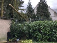Bäume fällen Sturmschäden Gartenarbeit Nordrhein-Westfalen - Rheda-Wiedenbrück Vorschau