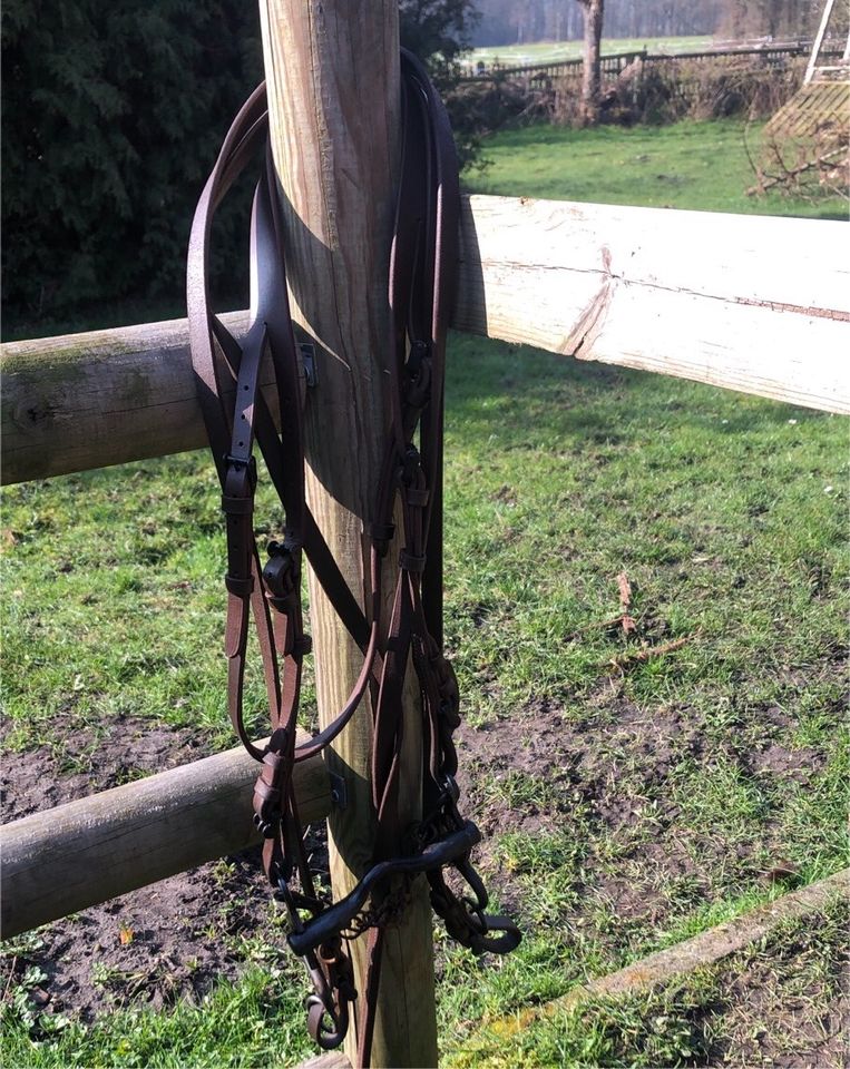 Spanische Trense, vaquero mit Kandare von El caballo in Asendorf (bei Bruchhausen-Vilsen)