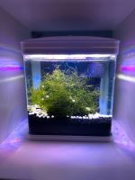 Nano Aquarium 7L | OVP+Versand Baden-Württemberg - Pfedelbach Vorschau