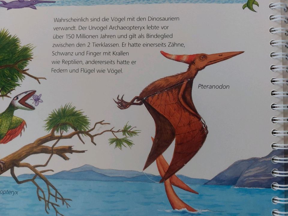 Ravensburger Wieso?Weshalb?Warum? Alles über Dinosaurier in Westoverledingen