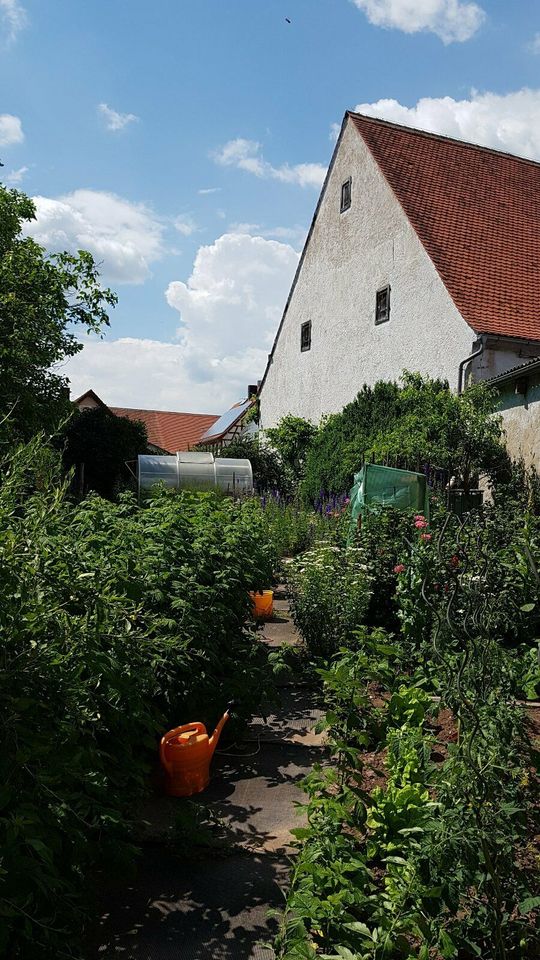 Ferienwohnungen nahe Playmobil Funpark … im Juni noch verfügbar in Dietenhofen