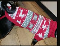 Norwegerpulli Hundepullover warm Gr.S ab 2.50 Versand Sachsen - Zethau Vorschau