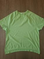 hellgrünes T-Shirt von Brax Gr. 36 fäält sehr groß aus wie neu Niedersachsen - Stadthagen Vorschau