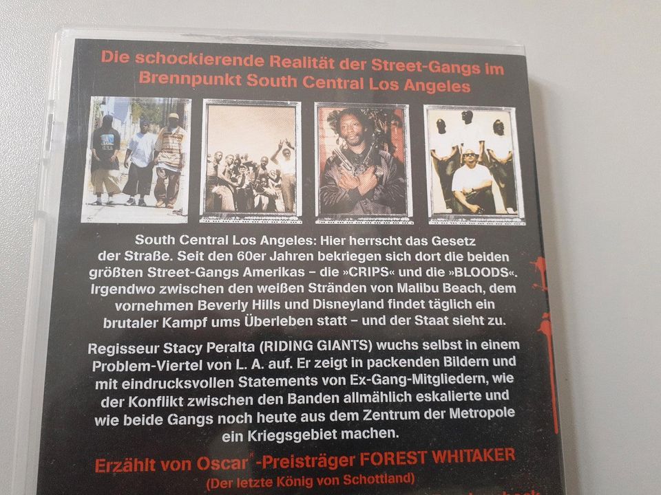Gangs,Gangster,DVD,Film,Chips,Bloods,Jugendbanden,Kriminalität, in Hamburg