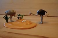 Playmobil Straußennest mit Eiern Oabati Safari Schleswig-Holstein - Nehmten Vorschau