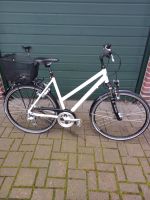 Gudereit LC 60 Fahrrad Trekkingrad (unisex) RH 53, 28 Zoll Nordrhein-Westfalen - Kerken Vorschau