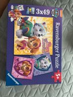 Puzzle Paw Patrol München - Bogenhausen Vorschau