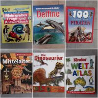 Bücher Bücherpaket zum Lernen, für Referate... Baden-Württemberg - Schwieberdingen Vorschau