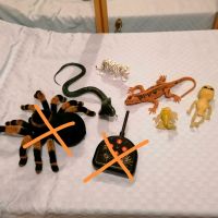 ❤️Viele Tiere Reptilien Figuren Schlange Spinne Tiger Eidechse Nordrhein-Westfalen - Geilenkirchen Vorschau