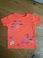 Staccato T-Shirt NEU Gr. 68 Fische Kreis Pinneberg - Klein Offenseth-Sparrieshoop Vorschau