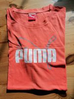 Puma T-Shirt gr. S Nordrhein-Westfalen - Halle (Westfalen) Vorschau