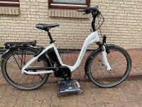 Flyer E-Bike 26“ 36V 432WH Magura Rücktritt 8-Gang Nexus Top!! Schleswig-Holstein - Wilster Vorschau