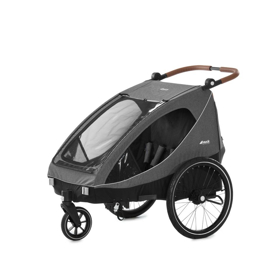 Hauck Dryk Duo - 2in1 Fahrradanhänger & Buggy - Melange Grey - Bietet Platz für 2 Kinder (bis 44 kg) - Bike Trailer & City Buggy - NEU in Fulda