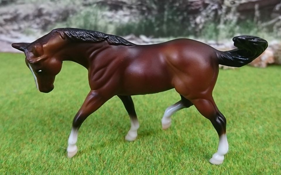 Breyer Pferd Stablemate Araber Warmblut Quarter Appaloosa Special in Fürth