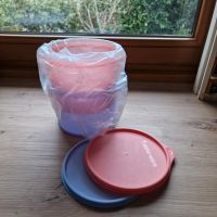 Neu + ovp: Tupperware Frische Runde 2x 1,1 l Saarland - Homburg Vorschau