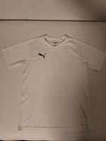Puma T-shirt Bayern - Aschaffenburg Vorschau