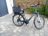 E-Fahrrad Pegasus-Solero Bayern - Denkendorf Vorschau