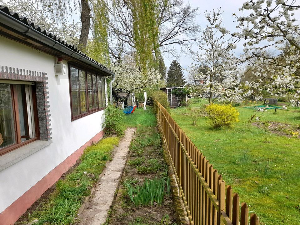 Kleines Haus, Gartenhaus, Eigentumsland, Bungalow, Zweitwohnsitz in Bad Belzig