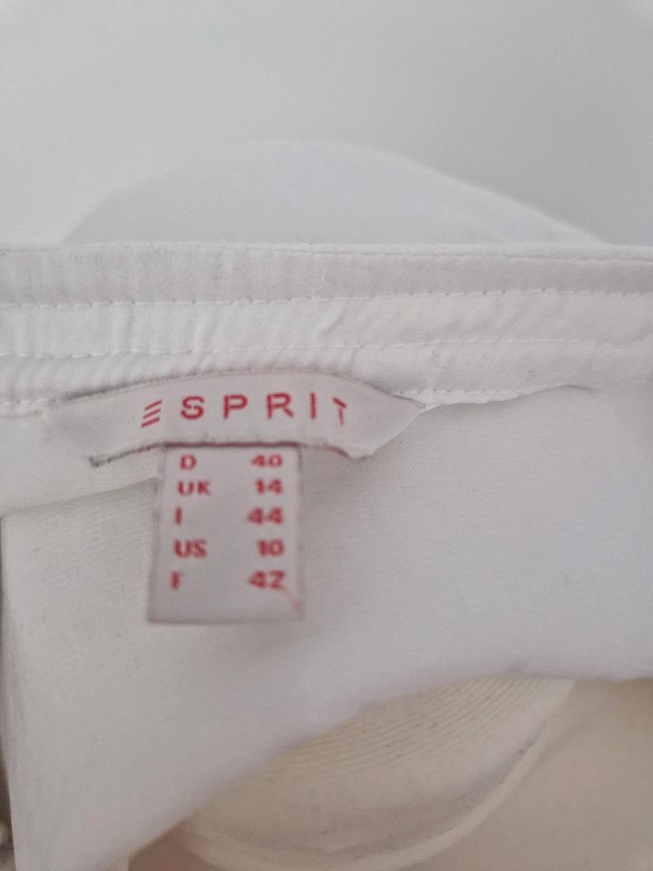 Esprit Bluse Hemd in Gundelfingen