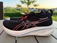 Asics Gel Nimbus 26 Neu Gr. 47 Laufschuh Herren Rheinland-Pfalz - Wittgert Vorschau