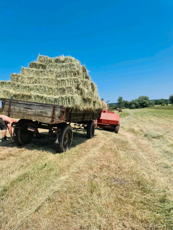 Heu 2.Schnitt 2023 HD Bunde in Bad Freienwalde