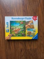 Ravensburger Puzzle 3x 49 - Wildtiere Frankfurt am Main - Ostend Vorschau