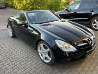 SLK 350 Mercedes Benz Rheinland-Pfalz - Winterwerb Vorschau