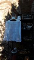 Esprit, Bluse, 40 Sachsen - Oschatz Vorschau