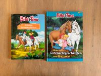 Bibi & Tina Bücher Dortmund - Huckarde Vorschau