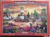 Puzzle 1000 Teile Castorland "Glücklicher Urlaub" komplett Baden-Württemberg - Allmendingen Vorschau