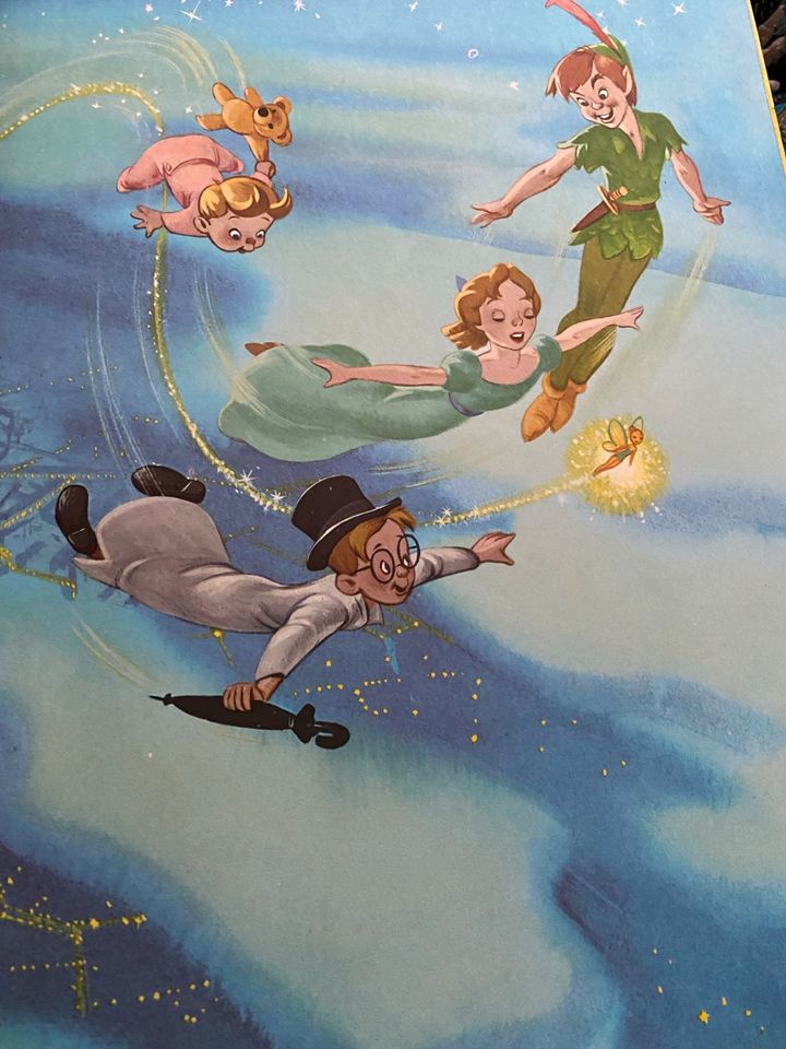 Peter Pan Buch 1971 Walt Disney Delphin Verlag in München