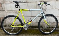 Vintage Mountain Bike von 1989 Rahmenhöhe 54 Saarland - Saarlouis Vorschau