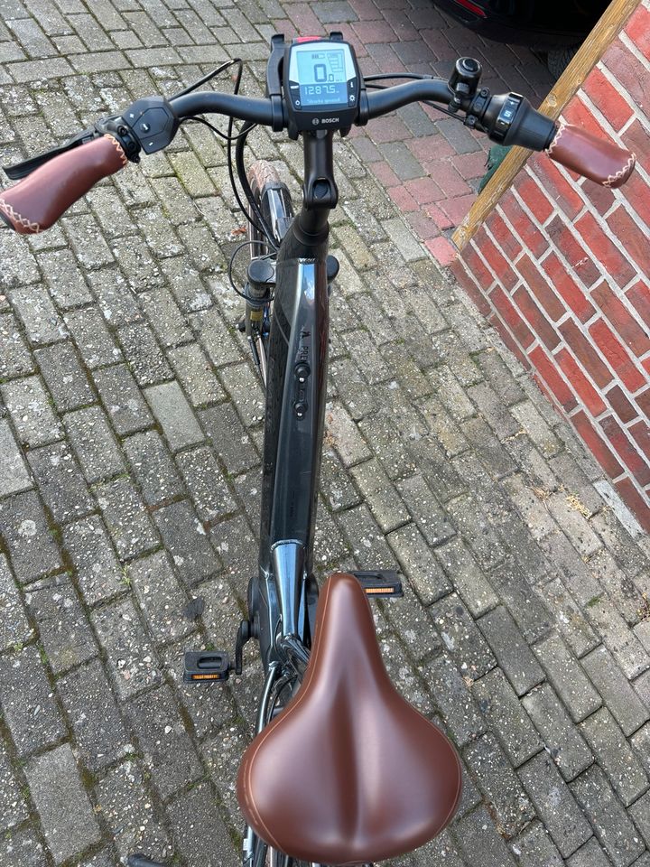 Ebike Pegasus in Damme