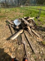 Holz zu verschenken Niedersachsen - Osterholz-Scharmbeck Vorschau